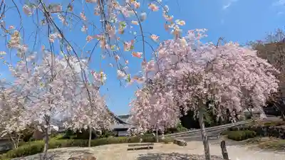 圓光寺(京都府)