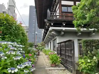 浄勝寺(千葉県)