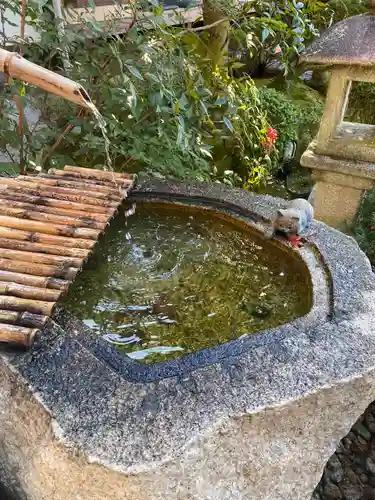 霊源院の手水舎