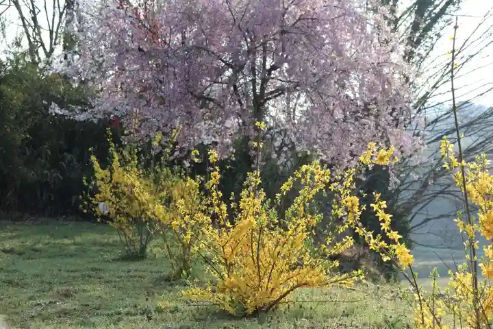 阿久津「田村神社」(郡山市阿久津町)旧社名:伊豆箱根三嶋三社の庭園