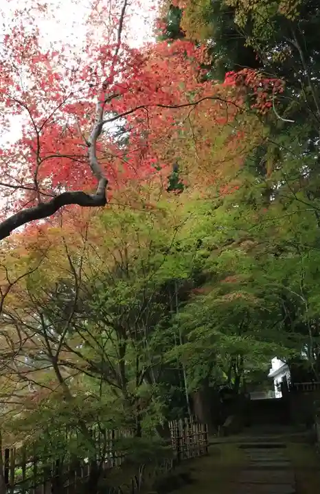 苗秀寺(京都府)