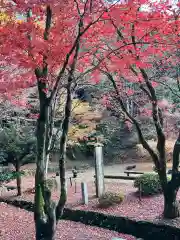 鶏足寺(滋賀県)