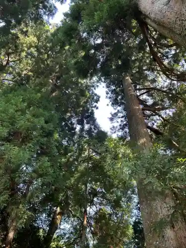 天一神社(奈良県)