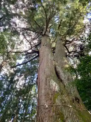 黒瀧神社(三重県)