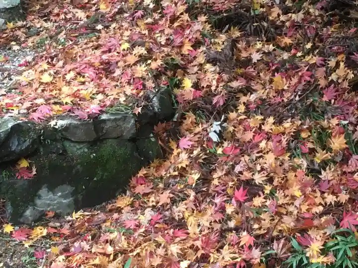 延暦寺 根本中堂の自然