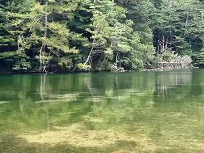 穂高神社奥宮の自然