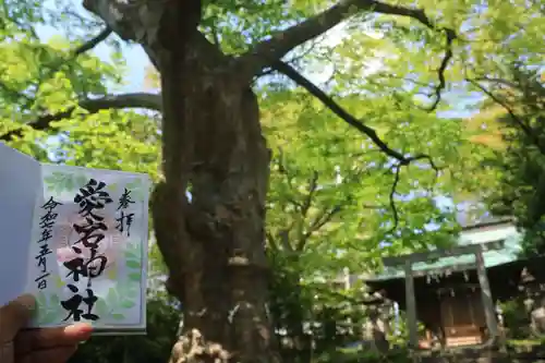 愛宕神社の御朱印