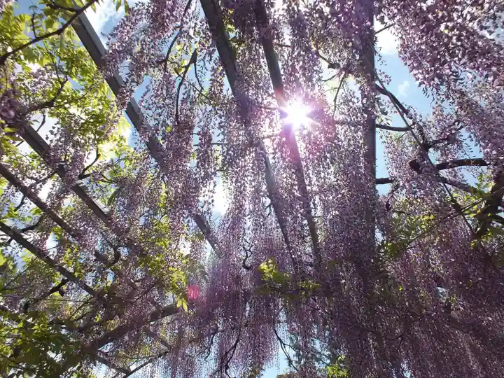 三大神社の自然