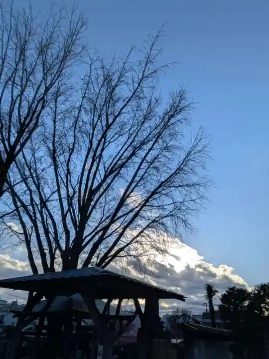 成願寺(東京都)