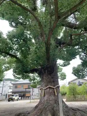 華表神社の自然