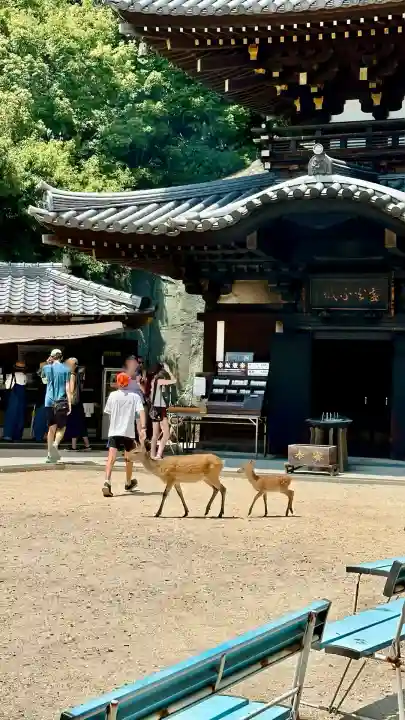 大聖院弥山本堂(広島県)
