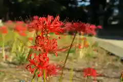 若宮八幡宮(京都府)