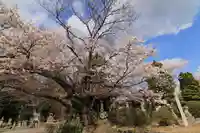 十念寺の末社・摂社