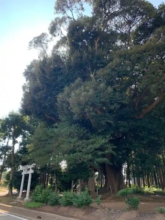 秀起霊神(千葉県)