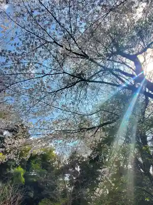 木曽三社神社(群馬県)