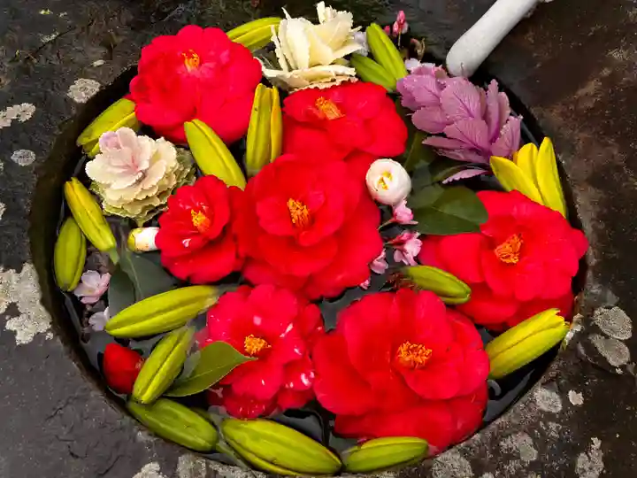 真言宗 善通寺派 薬王寺(香川県)