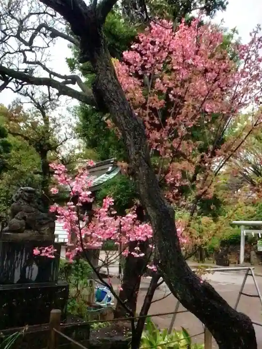 鳩森八幡神社(東京都)