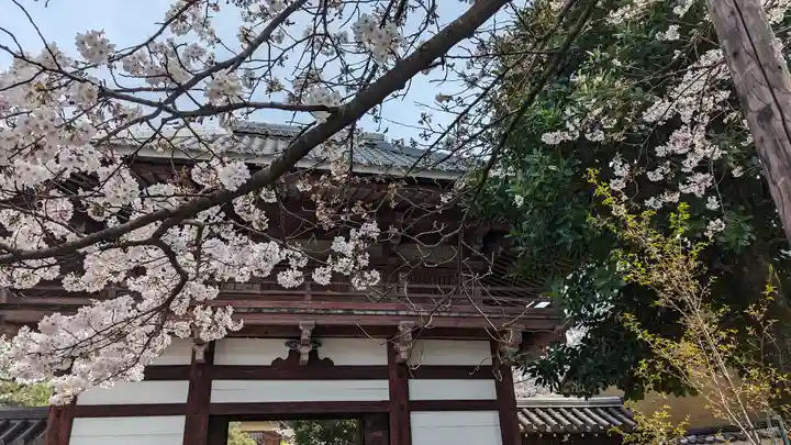 本法寺(京都府)