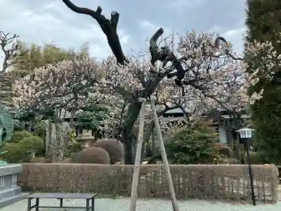 信法寺の{uncategorized: "未分類", other: "その他", undefined: "問題あり", building: "その他建物", grave: "お墓", sacred_gate: "鳥居", guardian: "狛犬", statue: "像", buddha: "仏像", history: "歴史", nature: "自然", garden: "庭園", animal: "動物", pagoda: "塔", temizu: "手水舎", mountain_gate: "山門・神門", sanctuary: "本殿・本堂", subordinate: "末社・摂社", art: "芸術", scenery: "景色", jizo: "地蔵", ema: "絵馬", goshuin: "御朱印", omikuji: "おみくじ", items: "授与品その他", amulet: "お守り", goshuincho: "御朱印帳", eats: "食事", festival: "お祭り", votive_dance: "神楽", shichigosan: "七五三参", wedding: "結婚式", experience: "体験その他", initially: "初詣", around: "周辺", anti_infection: "感染症対策"}
