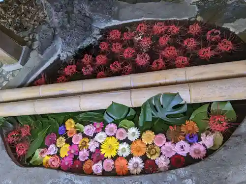 草薙神社の手水