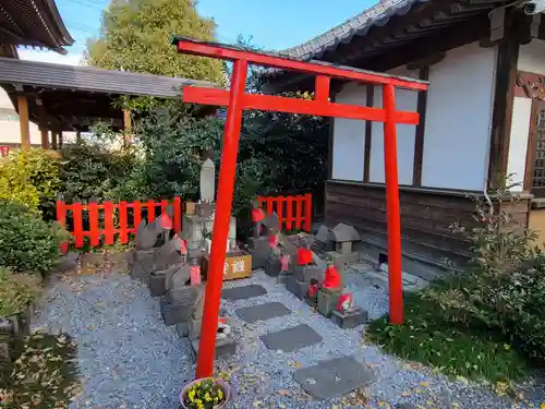 於菊稲荷神社の鳥居