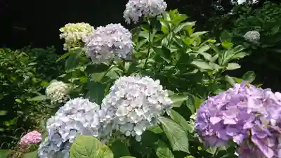 吉備津神社(岡山県)