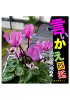 耕田院の自然