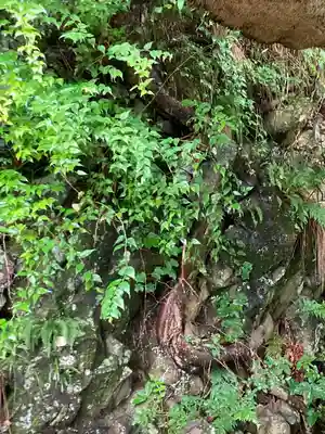 長楽寺(長野県)