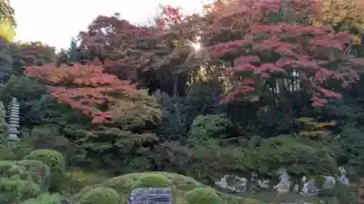 青蓮院門跡(京都府)
