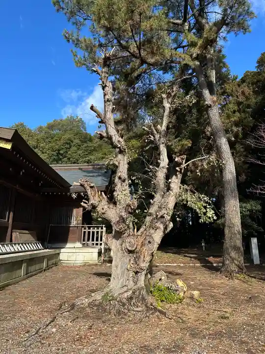 群馬県護国神社(群馬県)