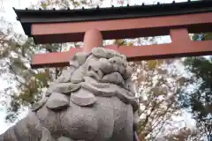 武蔵一宮氷川神社の狛犬