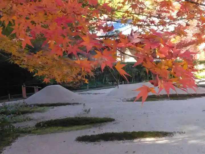 明月院(神奈川県)