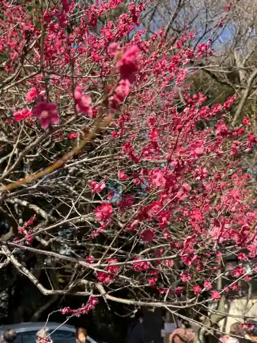 谷保天満宮の{uncategorized: "未分類", other: "その他", undefined: "問題あり", building: "その他建物", grave: "お墓", sacred_gate: "鳥居", guardian: "狛犬", statue: "像", buddha: "仏像", history: "歴史", nature: "自然", garden: "庭園", animal: "動物", pagoda: "塔", temizu: "手水舎", mountain_gate: "山門・神門", sanctuary: "本殿・本堂", subordinate: "末社・摂社", art: "芸術", scenery: "景色", jizo: "地蔵", ema: "絵馬", goshuin: "御朱印", omikuji: "おみくじ", items: "授与品その他", amulet: "お守り", goshuincho: "御朱印帳", eats: "食事", festival: "お祭り", votive_dance: "神楽", shichigosan: "七五三参", wedding: "結婚式", experience: "体験その他", initially: "初詣", around: "周辺", anti_infection: "感染症対策"}