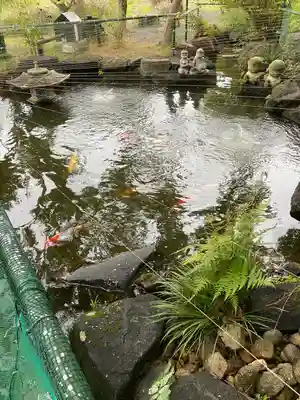 八幡宮(茨城県)