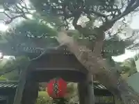 長谷寺の山門・神門