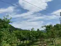 若王子神社の自然