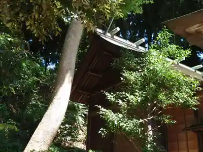 白旗神社（平戸白旗神社）(神奈川県)