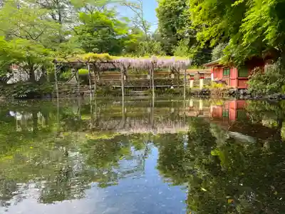 富士山本宮浅間大社(静岡県)