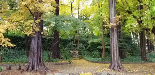 増上寺塔頭 三縁山 宝珠院の周辺