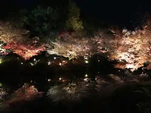 東寺（教王護国寺）(京都府)