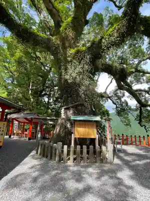 熊野那智大社(和歌山県)