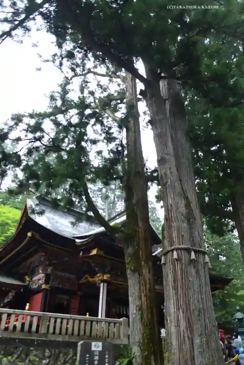 三峯神社(埼玉県)
