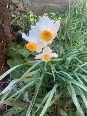 青衾神社(熱田神宮摂社)の庭園