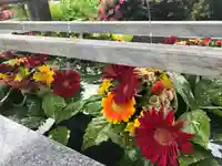 豊景神社(福島県)