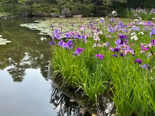 平安神宮(京都府)