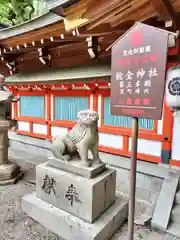 杭全神社の狛犬