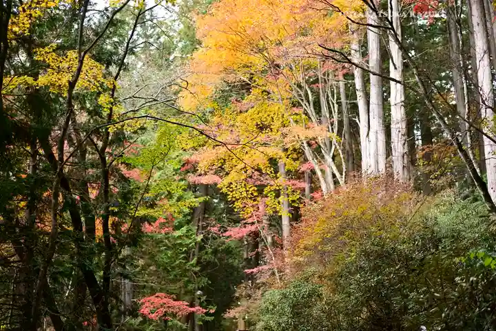 三峯神社(埼玉県)