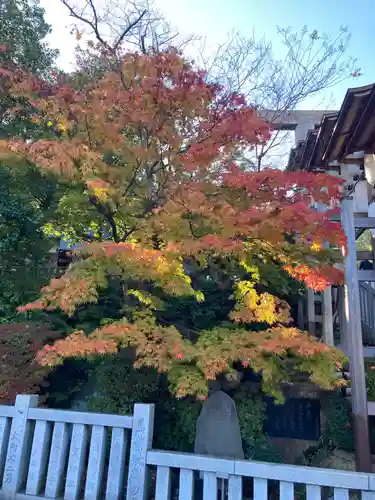 伊勢山皇大神宮の自然