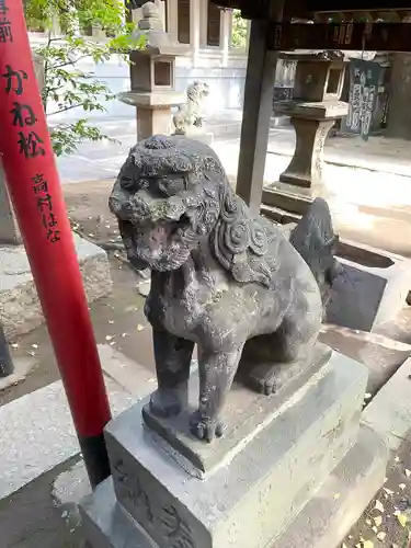 富岡八幡宮の狛犬