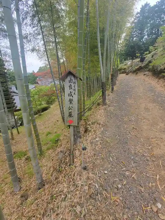 鳳仙寺(群馬県)